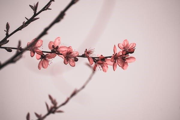 保險(xiǎn)一年后去退保有影響嗎