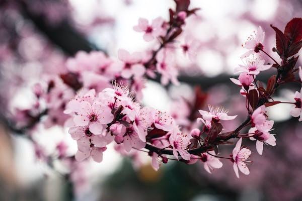 退保險(xiǎn)需要怎么辦理
