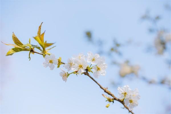 保險(xiǎn)退款要怎么處理？怎么避免保險(xiǎn)退保陷阱？