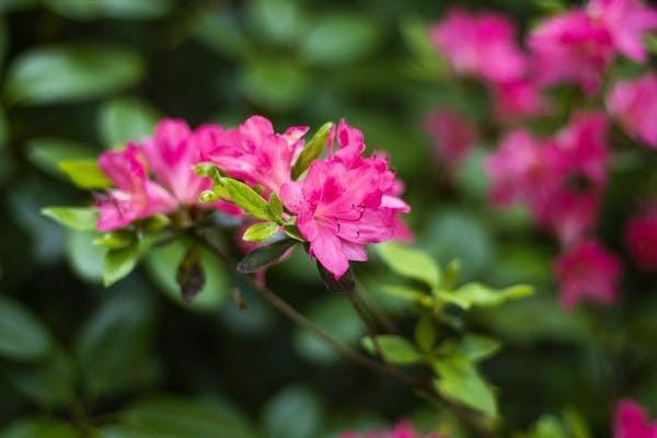 達(dá)爾文11號(hào)退保后是否會(huì)影響保障？可以退多少錢？都給你講清楚！