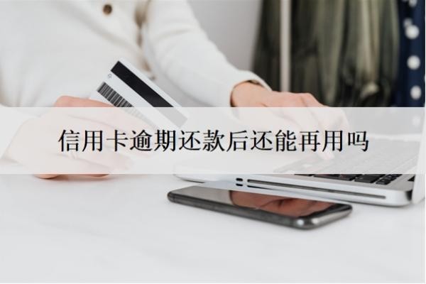 信用卡逾期還款后還能再用嗎？怎么自己申請停息掛賬？
