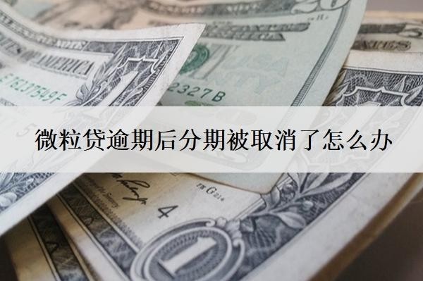 微粒貸逾期后分期被取消了怎么辦