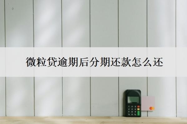 微粒貸逾期后分期還款怎么還